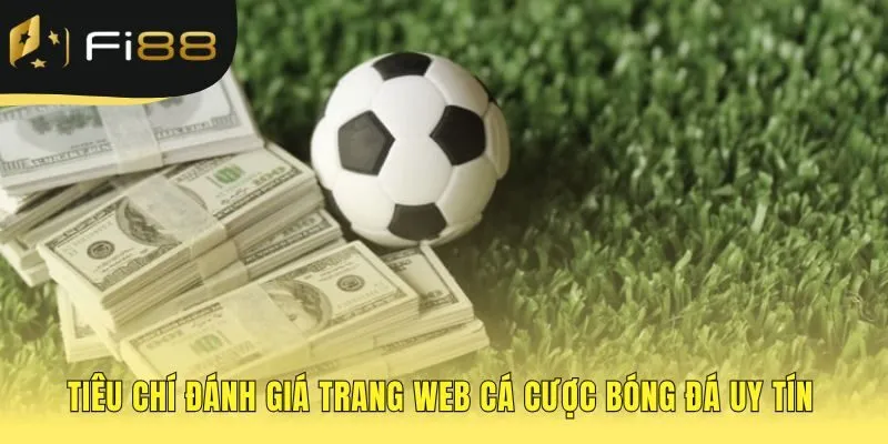 Bộ tiêu chí khách quan xác định một nền tảng đáng tin cậy